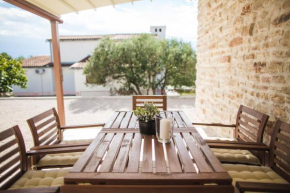 Отель Olive Tree Apartments  Водице